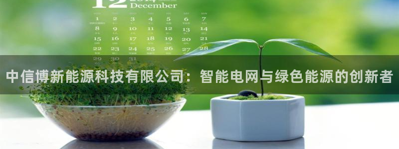 新宝gg与新宝5:中信博新能源科技有限公司:智能电网与绿色能