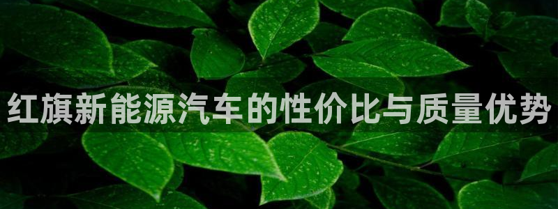 手机新宝gg