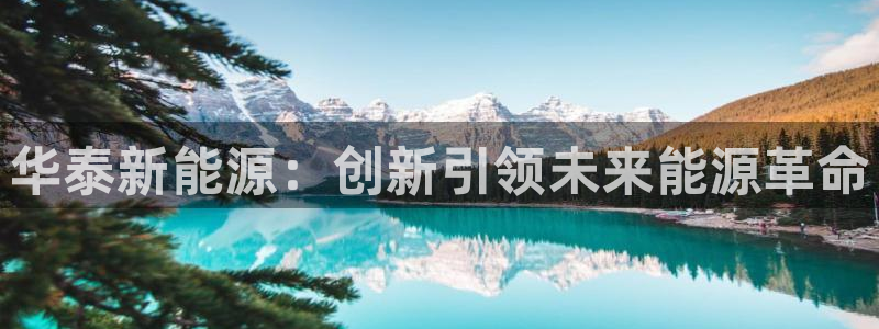 新宝gg 开户：华泰新能源：创新引领未来