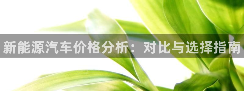 新宝gg 75505：新能源汽车价格分析
