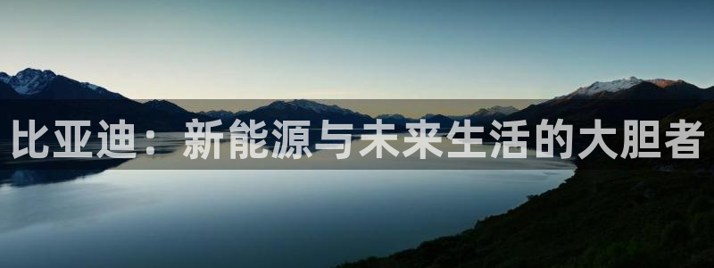 新宝gg手机app：比亚迪：新能源与未来