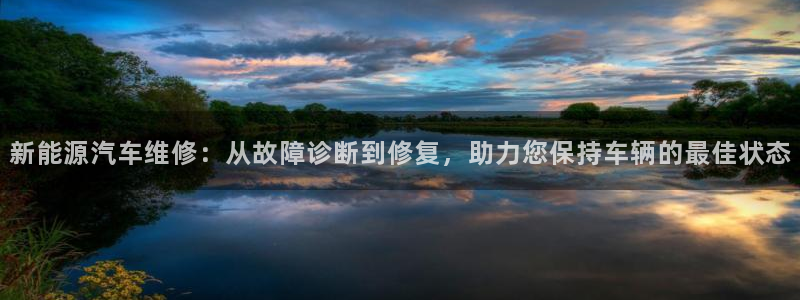 新宝gg登陆平台：新能源汽车维修：从故障