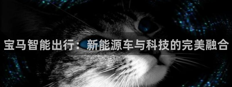 新宝gg玩法：宝马智能出行：新能源车与科