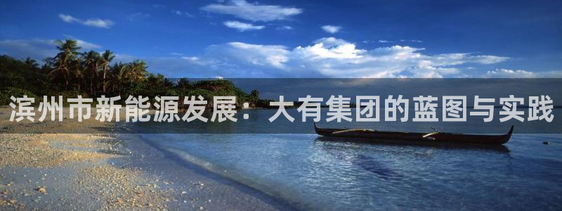 新宝gg网点:滨州市新能源发展:大有集团的蓝图与实践