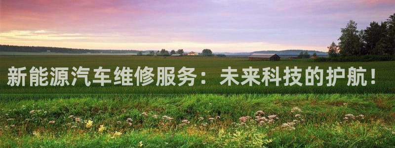 新宝gg主管48527:新能源汽车维修服务:未来科技的护航!