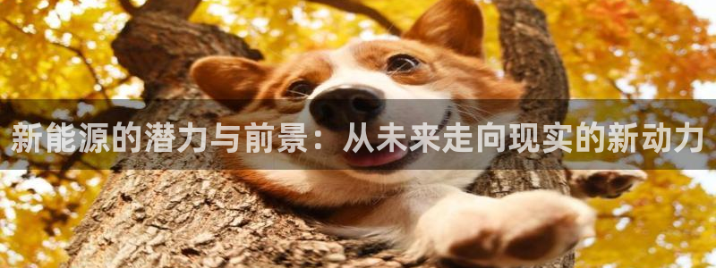 新宝gg论坛：新能源的潜力与前景：从未来