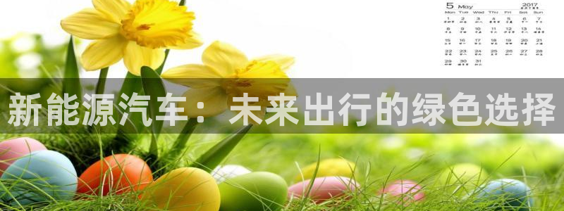 新宝gg盈亏:新能源汽车:未来出行的绿色选择