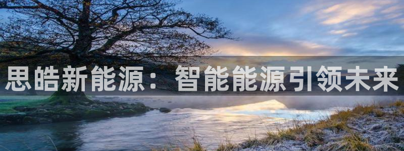 新宝gg首页:思皓新能源:智能能源引领未来