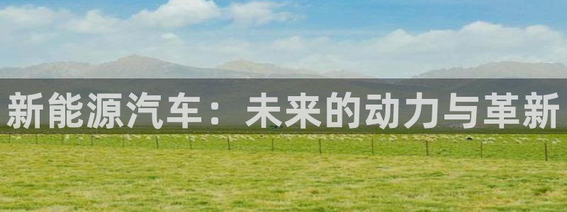 新宝gg什么
