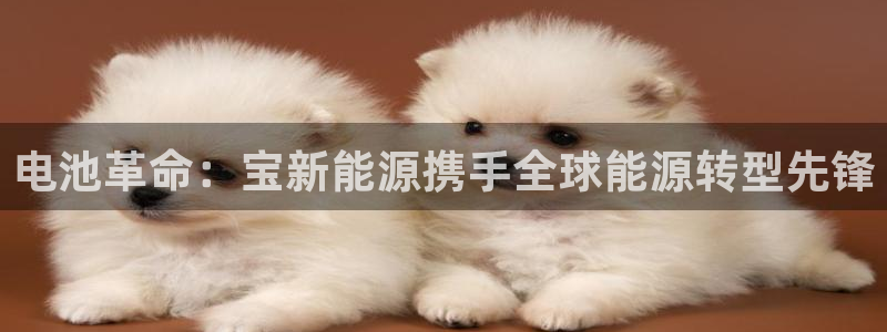 新宝gg是什么