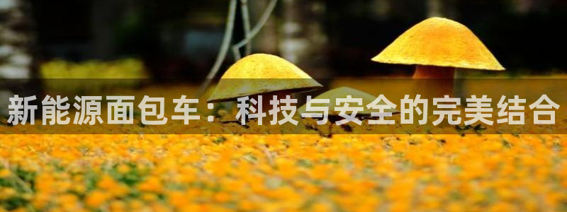 新宝gg网投