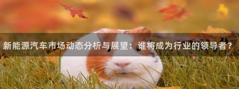 新宝gg一创造奇迹