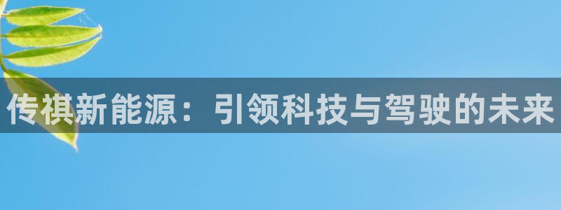 新宝GG勒55312:传祺新能源:引领科技与驾驶的未来