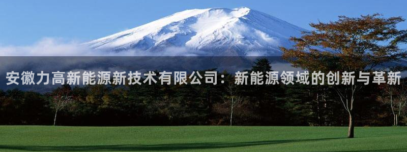谁有新宝GG:安徽力高新能源新技术有限公司:新能源领域的创新