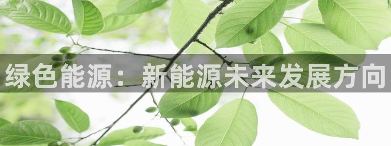 新宝集团gg:绿色能源:新能源未来发展方向