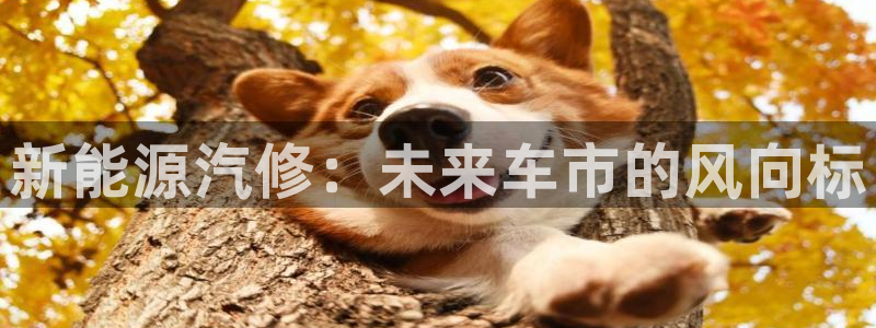 新宝gg2创造奇迹登录:新能源汽修:未来车市的风向标