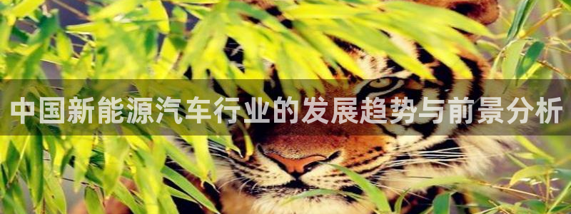 新宝gg如何做到总代理