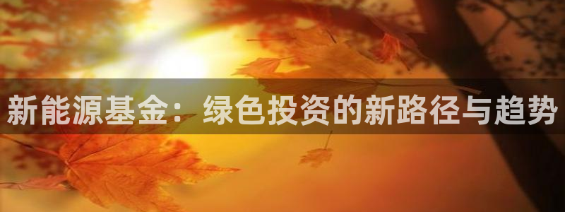 新宝gg下载官网下载:新能源基金:绿色投资的新路径与趋势