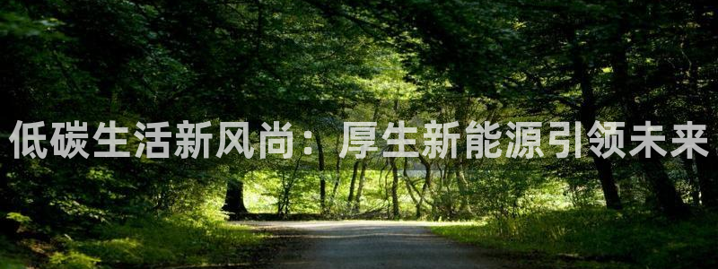 新宝gg 开户:低碳生活新风尚:厚生新能源引领未来