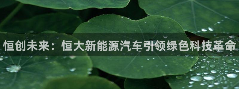 新宝gg6娱乐注册网址：恒创未来：恒大新