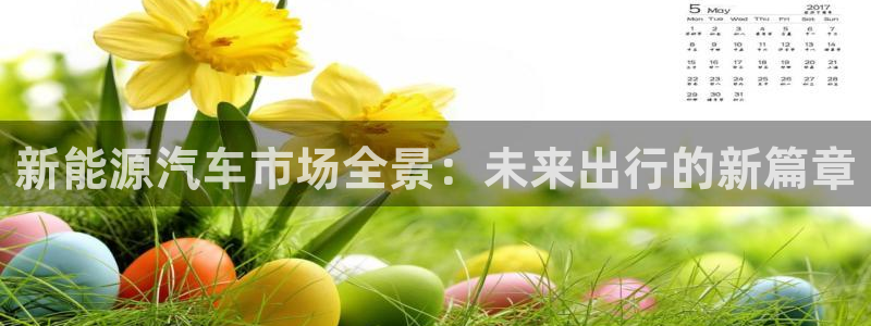 新宝gg主管 9:新能源汽车市场全景:未来出行的新篇章