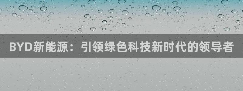 新宝gg充值:BYD新能源:引领绿色科技新时代的领导者