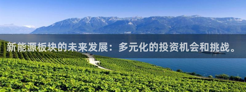 新宝gg娱乐官网:新能源板块的未来发展:多元化的投资机会和挑