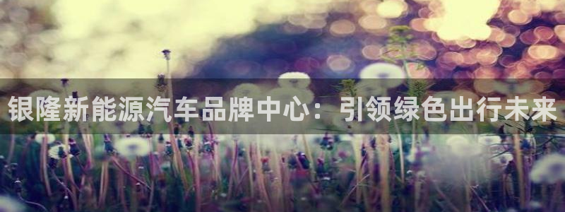 新宝 gg 登录注册:银隆新能源汽车品牌中心:引领绿色出行未