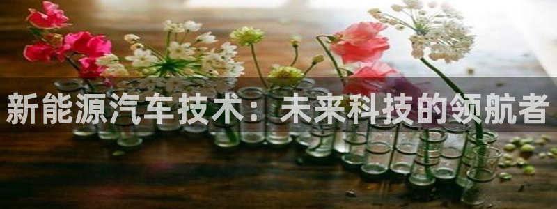 新宝gg黑平台:新能源汽车技术:未来科技的领航者