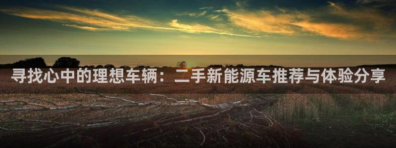 新宝gg娱乐盟主:寻找心中的理想车辆:二手新能源车推荐与体验