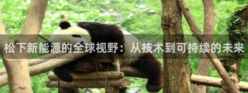 新宝注册gg平台:松下新能源的全球视野:从技术到可持续的未来