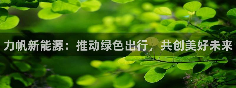 新宝注册gg平台:力帆新能源:推动绿色出行,共创美好未来
