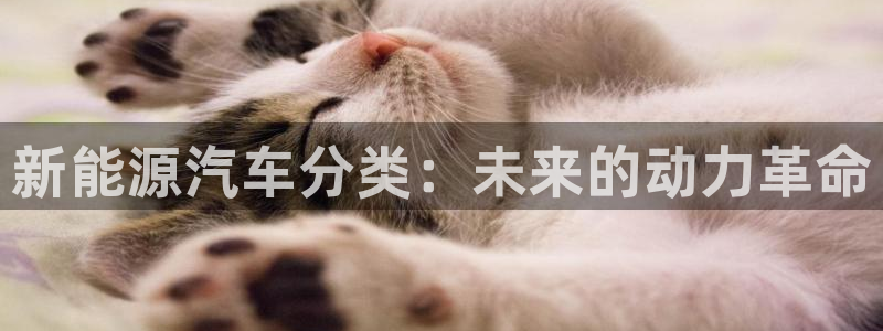 新宝GG国际:新能源汽车分类:未来的动力革命