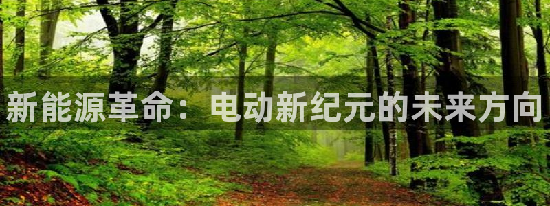 新 宝gg:新能源革命:电动新纪元的未来方向