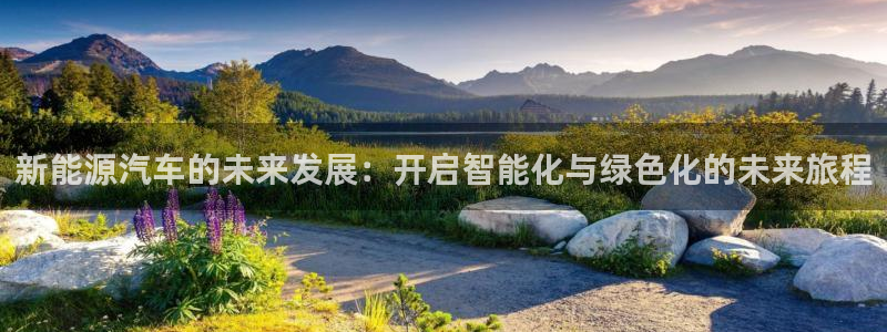 新宝GG专业团队:新能源汽车的未来发展:开启智能化与绿色化的