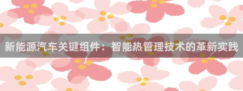新宝gg官网:新能源汽车关键组件:智能热管理技术的革新实践