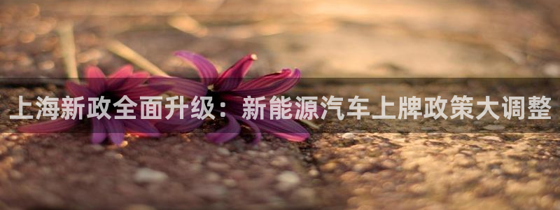 新宝gg挚243553:上海新政全面升级:新能源汽车上牌政策