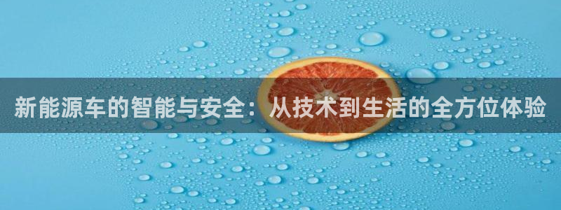 新宝gg开奖结果可信吗:新能源车的智能与安全:从技术到生活的