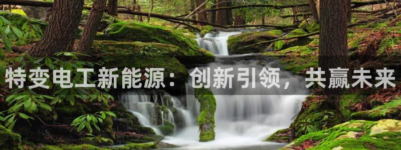 怎么代理新宝gg