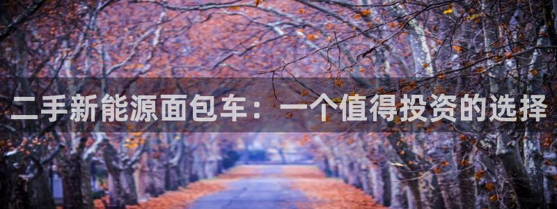 新宝GG创业奇迹