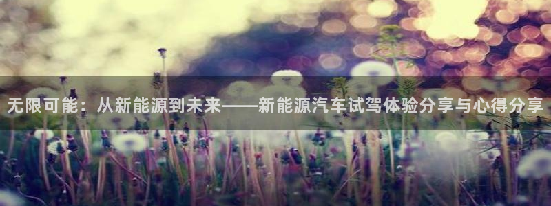 新宝gg创造奇迹 新宝gg：无限可能：从