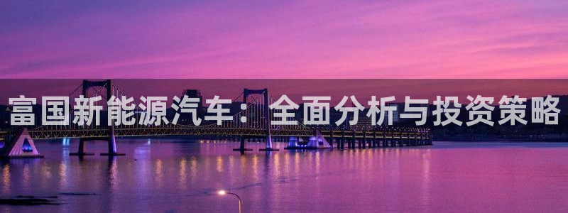 新宝gg返点:富国新能源汽车:全面分析与投资策略