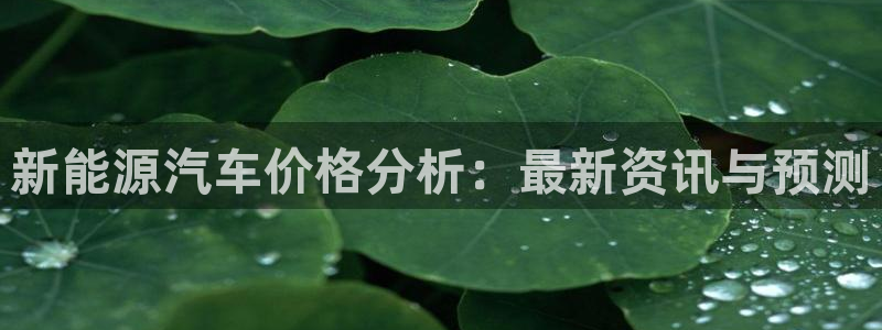 新宝gg怎么做代理