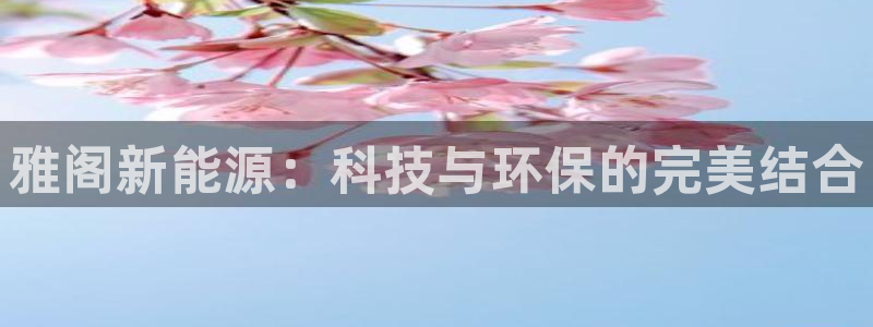 新宝gg用哪个浏览器