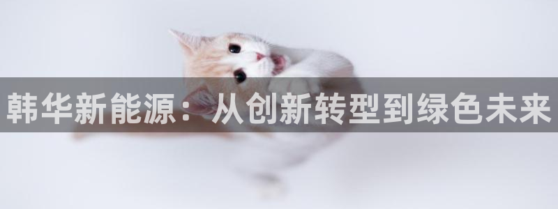 新宝gg创造奇迹下载