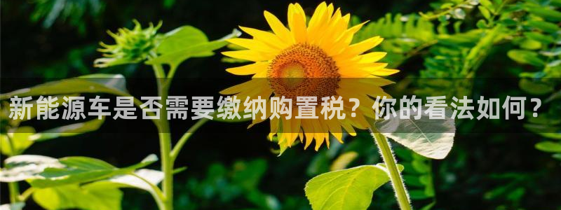 新宝gg用哪个浏览器：新能源车是否需要缴