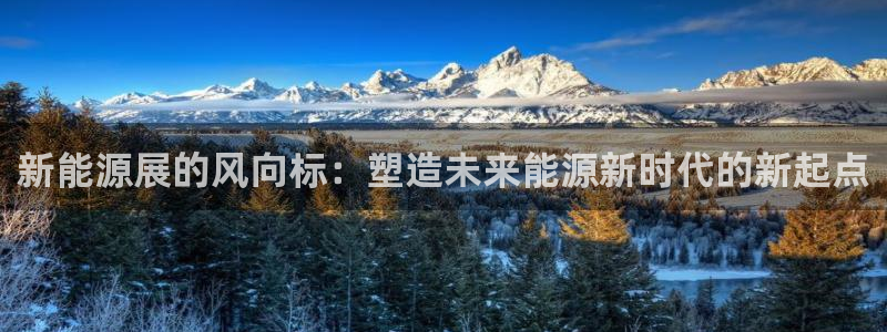 新宝gg官方下载：新能源展的风向标：塑造