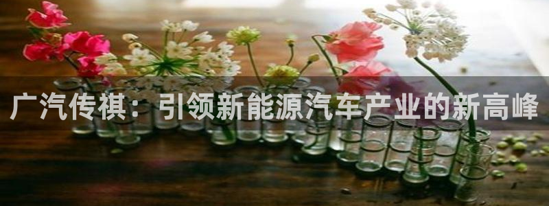 新宝gg娱乐盟主：广汽传祺：引领新能源汽