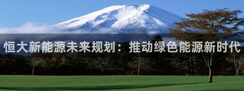 新宝gg109：恒大新能源未来规划：推动