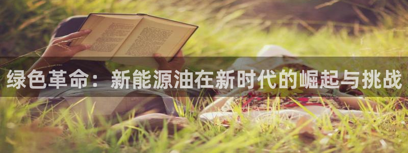 新宝GG绿色:绿色革命:新能源油在新时代的崛起与挑战